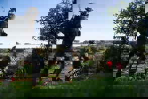 F23feec4 189D 4D90 9D83 B24d6b576e14