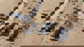 IMG 20210304 WA0013
