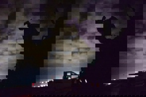 9Ae888e0 9776 41D0 Aafc Fc876e173da4