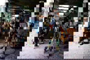 113D0223 3297 4Bbe 806D 2388De4a9bcd