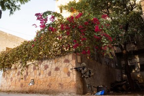 Ab5e49e7 1A5f 49Bf B627 24C5eb54ff3c