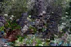 32D0f710 Aa03 49A6 Be7f 34Acb8fa2ed1