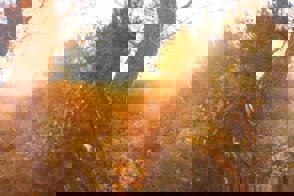 7E1dfb39 D3e0 40A2 B49b A6f36002cde3