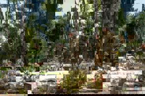 8699C732 Bfc3 4Cd3 A0a8 248Ab30e9cb2