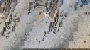 Whatsapp Image 2024 12 08 At 16.22.42 557E8439