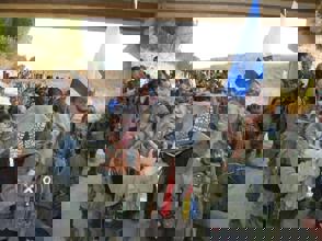 078Bd986 F63c 44F9 94E0 796F0c322ca8