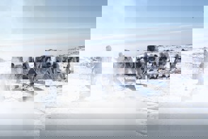 8Ce442cf 16Ae 4289 B34d F8c69e599dae