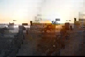 7F0844d8 3678 4E12 8080 6B1cb9b19283