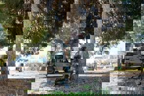 D5576760 5083 43Ca B0cb C028f7d8e07b