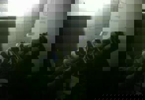 Whatsapp Image 2024 05 21 At 10.59.30 (1)