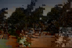 948B98c6 6207 4200 Bf0c 5Bce8bf9389d