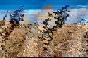 4Ecf3b4c 8Ea0 4505 8885 Fe828b42d7a2