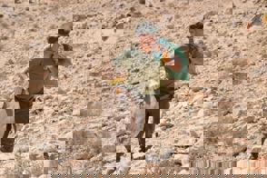 Whatsapp Image 2021 07 01 At 11.04.43