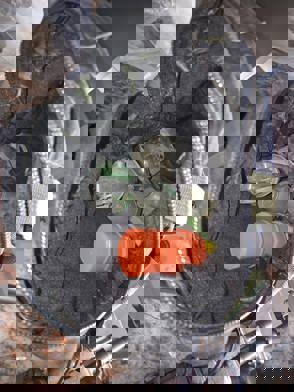 2Cbc0a17 7585 47Fc 854A 799035Dbf45f