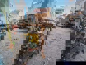 Whatsapp Image 2025 11 16 At 14.41.57