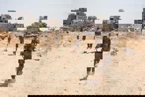 8092 3