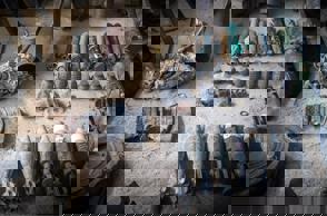 E7f73d15 97Da 41C8 Acca 0Eaf8c5b82d8