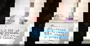 03864Bef B0cc 46D3 B65a 4Df8f1bf074d (1)