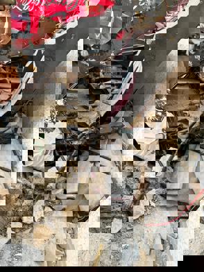 Whatsapp Image 2024 08 14 At 13.27.09