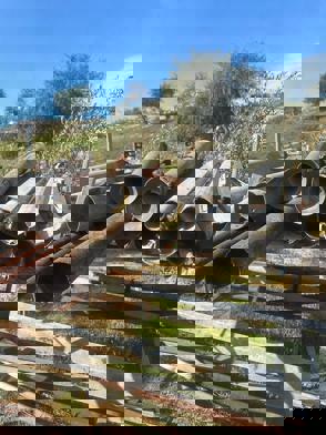 Whatsapp Image 2024 02 28 At 19.30.57