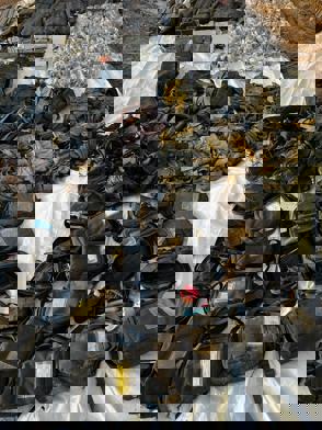 Whatsapp Image 2023 12 07 At 17.24.40 (1)