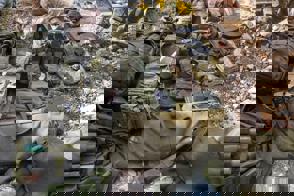 D266c51e 12C5 4Eba B93a Bca0918c8c21