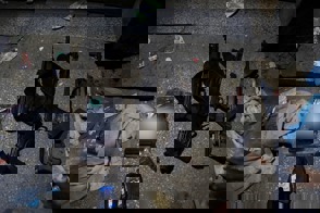 6484D381 6C2b 4E63 A123 Affcd398e965