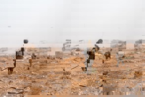 Dc6aea36 Be02 48D6 A3fd C9bee7aefdb8