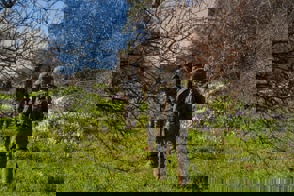 93123691 7Eaf 447A 9058 Efd9ca35605b