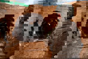 E8f16c4a B788 44D1 B251 8C80e0fe1b09
