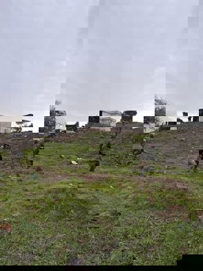 Whatsapp Image 2026 02 02 At 09.45.30 (1)