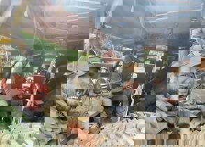 Whatsapp Image 2025 11 16 At 14.42.00 (1)