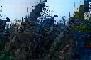 Bdc3b915 725A 4B02 974C 52Ee0481a7d5 (1)