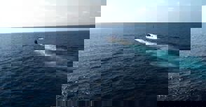 092E8522 13D3 488F 92E5 F17c19674366