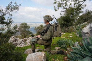 6F79efe4 775A 41Fa Ba89 Caffc8934d75