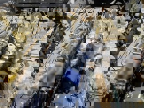 1C27a72a A3e7 4796 A153 Da37536c8b03