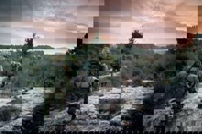 Whatsapp Image 2022 01 25 At 2.36.21 PM