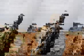 D8f7022e Ee4e 456D 854A 438Ea9490ff3