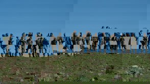 5600 (11) Min