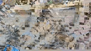 9Ad7d74c 269F 4Cf6 8Ecf Cfc46f5fc30b