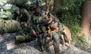 Whatsapp Image 2021 04 06 At 173042