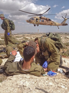 נ ש ץ ש 2