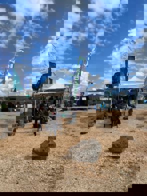 Aa38b65d 1140 4B3e 9C19 097C77dd30df