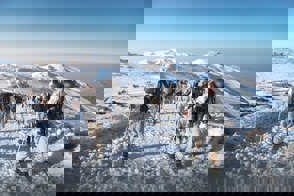 Bb8b6197 1E8d 4F15 B6d2 85Eec898616c