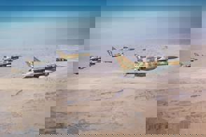 75457744 46Eb 4F50 Ab5f 574A115d500b