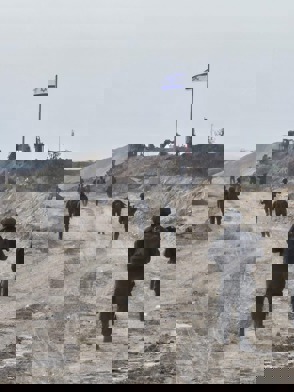 1E4c4ab1 7345 457A 972F 6Fd49b4c85af