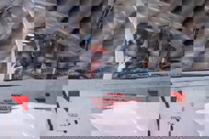 Whatsapp Image 2026 03 03 At 22.38.12 (1) (1)