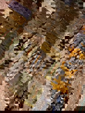 F78debc0 1541 429A A842 04C95d064e39