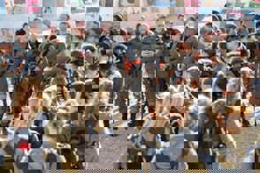 Whatsapp Image 2026 03 08 At 20.03.07 (1)