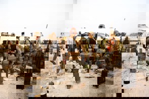 8226E721 D432 429D B3e4 677055Cf28cd